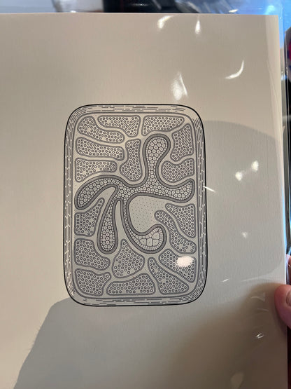 Cytographia - RY1V - Golan Levin