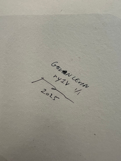 Cytographia - RY1V - Golan Levin