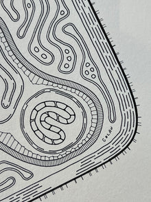 Golan Levin | Cytographia - BhW1