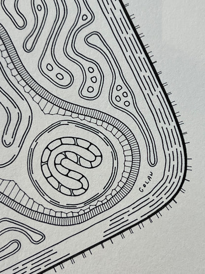 Golan Levin | Cytographia - BhW1