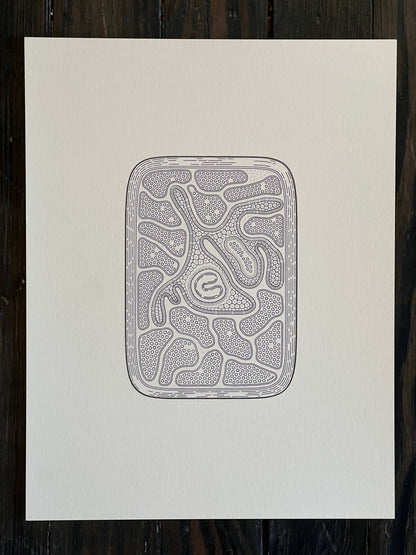 Golan Levin | Cytographia - U461