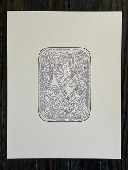 Golan Levin | Cytographia - nctT5