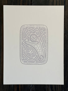 Golan Levin | Cytographia - qN1g