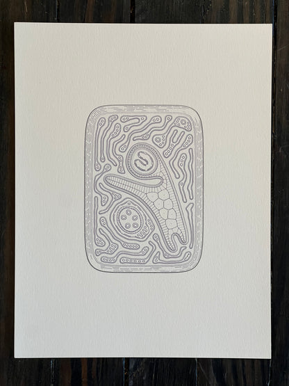 Golan Levin | Cytographia - qN1g