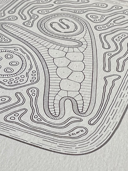 Golan Levin | Cytographia - qN1g