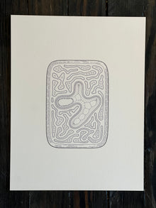 Golan Levin | Cytographia - hBhw
