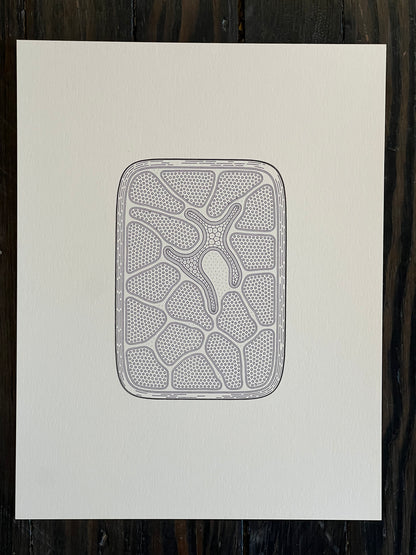 Golan Levin | Cytographia - NE52