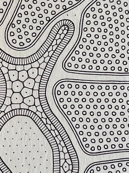 Golan Levin | Cytographia - NE52