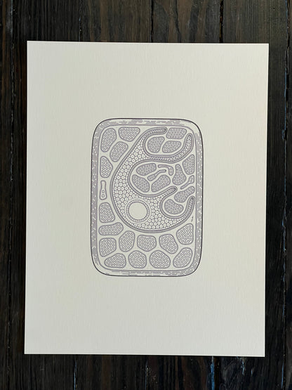 Golan Levin | Cytographia - PEyQ