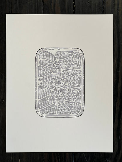 Golan Levin | Cytographia - xd78